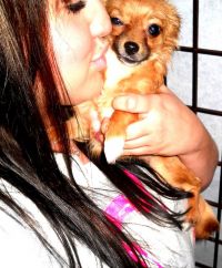 lovechanel